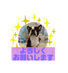 HappyBathPepのお友達D（個別スタンプ：4）