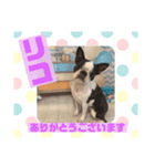 HappyBathPepのお友達D（個別スタンプ：5）