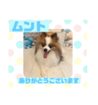 HappyBathPepのお友達D（個別スタンプ：9）