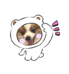 HappyBathPepのお友達D（個別スタンプ：10）