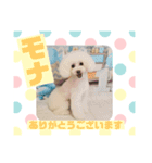 HappyBathPepのお友達D（個別スタンプ：13）