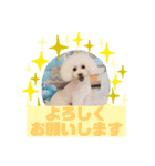 HappyBathPepのお友達D（個別スタンプ：16）