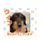 HappyBathPepのお友達D（個別スタンプ：17）