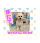 HappyBathPepのお友達D（個別スタンプ：21）