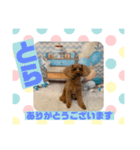 HappyBathPepのお友達D（個別スタンプ：25）