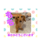 HappyBathPepのお友達D（個別スタンプ：29）