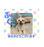 HappyBathPepのお友達D（個別スタンプ：33）
