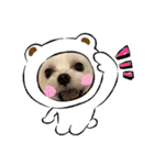 HappyBathPepのお友達D（個別スタンプ：35）
