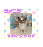 HappyBathPepのお友達D（個別スタンプ：37）