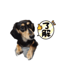 こてつ＆さく（個別スタンプ：2）