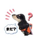 こてつ＆さく（個別スタンプ：7）