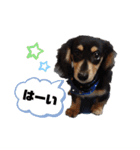 こてつ＆さく（個別スタンプ：11）