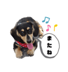 こてつ＆さく（個別スタンプ：17）