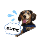 こてつ＆さく（個別スタンプ：32）
