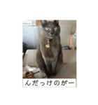 山形弁のココアです（個別スタンプ：7）