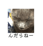 山形弁のココアです（個別スタンプ：24）