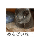 山形弁のココアです（個別スタンプ：32）