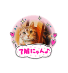 ♡どるちん♡（個別スタンプ：1）