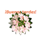 スペイン語で花のあいさつ（個別スタンプ：4）