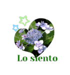 スペイン語で花のあいさつ（個別スタンプ：9）