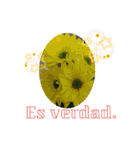 スペイン語で花のあいさつ（個別スタンプ：18）