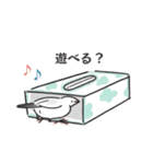 文鳥三昧-Buncho Life-（個別スタンプ：38）