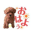 花専（個別スタンプ：1）