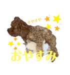 花専（個別スタンプ：3）