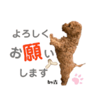 花専（個別スタンプ：6）