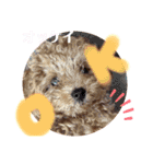 花専（個別スタンプ：11）
