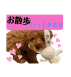 花専（個別スタンプ：13）