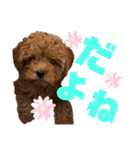 花専（個別スタンプ：15）