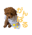花専（個別スタンプ：16）