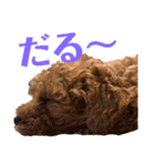 花専（個別スタンプ：21）