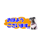 ミニピン 省スペース スタンプ（個別スタンプ：1）