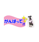 ミニピン 省スペース スタンプ（個別スタンプ：7）