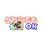 ミニピン 省スペース スタンプ（個別スタンプ：8）