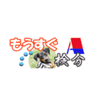 ミニピン 省スペース スタンプ（個別スタンプ：12）
