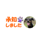 ミニピン 省スペース スタンプ（個別スタンプ：13）