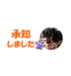ミニピン 省スペース スタンプ（個別スタンプ：15）