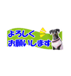 ミニピン 省スペース スタンプ（個別スタンプ：17）