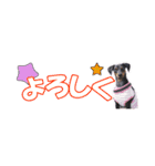 ミニピン 省スペース スタンプ（個別スタンプ：18）