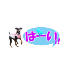 ミニピン 省スペース スタンプ（個別スタンプ：19）