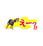 ミニピン 省スペース スタンプ（個別スタンプ：22）