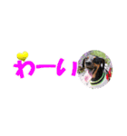 ミニピン 省スペース スタンプ（個別スタンプ：23）