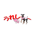 ミニピン 省スペース スタンプ（個別スタンプ：24）