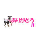 ミニピン 省スペース スタンプ（個別スタンプ：25）