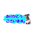 ミニピン 省スペース スタンプ（個別スタンプ：26）