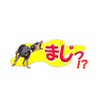 ミニピン 省スペース スタンプ（個別スタンプ：27）