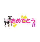 ミニピン 省スペース スタンプ（個別スタンプ：33）